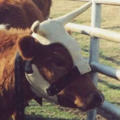 NRS Strap On Muley Horns -Saddlery Shop ropinghorn2